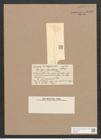 Pleurosigma elegantissimum Castr. (de-Toni-Nr.: Genus 13, Species 1023) Zeichnungen Sammlung Grunow Nr. 2085 (NHMW-BOT-W0368952)